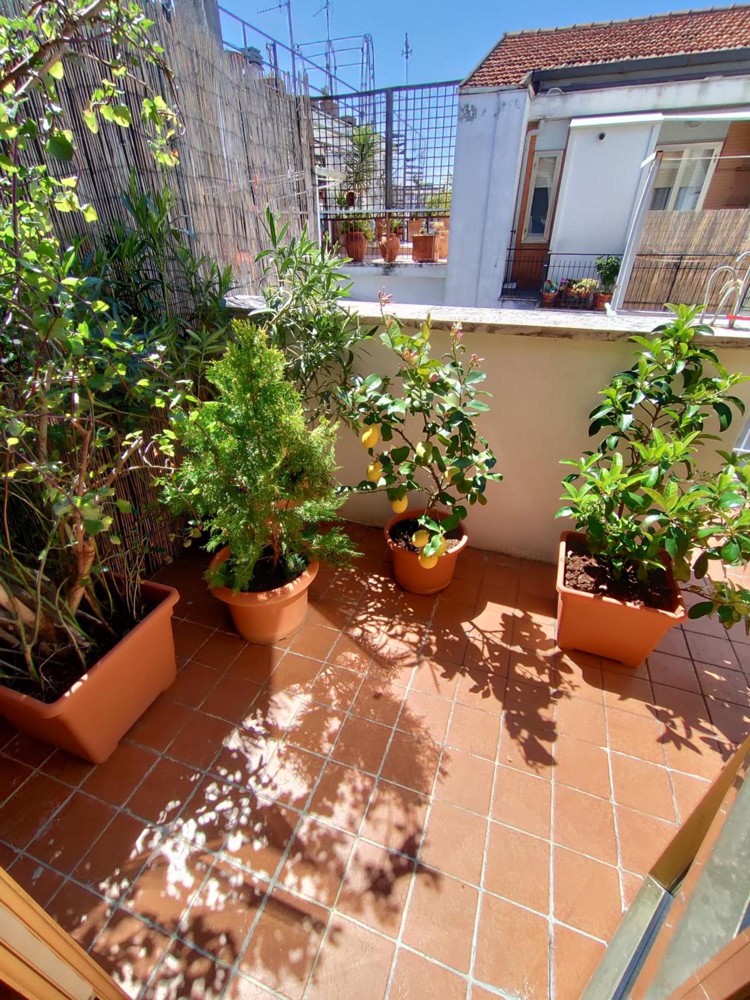 La Dimora Degli Artisti Bed & Breakfast เปสการา ห้อง รูปภาพ